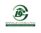/public/logoimage/1321987900brindle-consulting-8.jpg