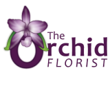 /public/logoimage/1342894146Orchid2.png