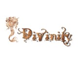 /public/logoimage/1354949859Divinity9.jpg