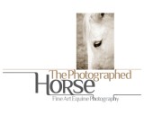 /public/logoimage/1365932937horse.jpg