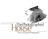 /public/logoimage/1365932938horse2.jpg