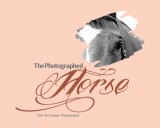 /public/logoimage/1365961498horse3.jpg