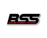 /public/logoimage/1382965223BSS3.png