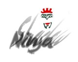 /public/logoimage/1388166352Ninja02.jpg