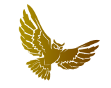 /public/logoimage/1397853823owl4.png