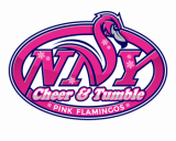 /public/logoimage/1567324070NNYCheer&Tumble.png