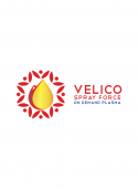 /public/logoimage/1600963484velico_5.png