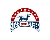 /public/logoimage/1602860291star-steer7.jpg